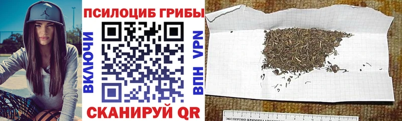 Псилоцибиновые грибы мухоморы  Дивногорск 