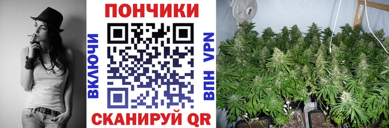 Каннабис сатива  как найти наркотики  Дивногорск 